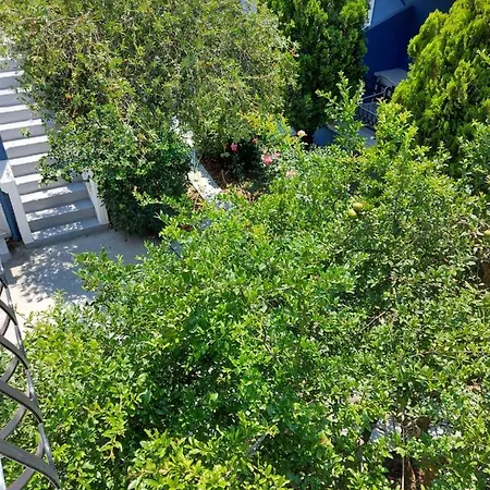 Lejlighedshotel Spiros Tzavalas Laganas