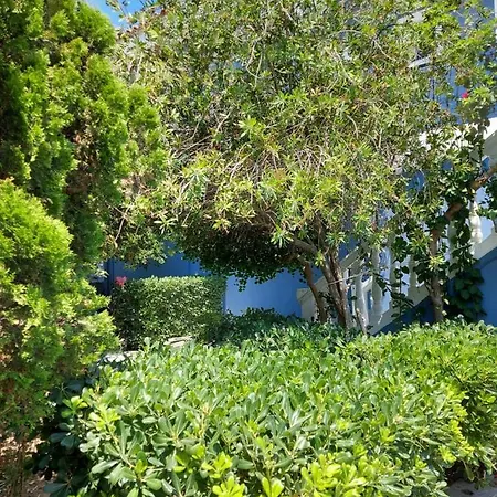 Lejlighedshotel Spiros Tzavalas
